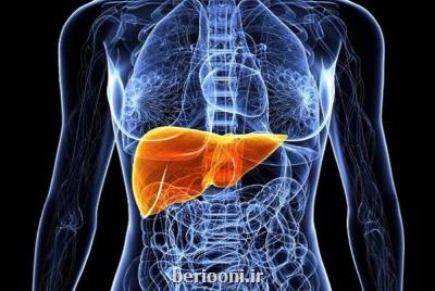 فروکتوز ریسک مبتلاشدن به سرطان کبد را بیشتر می کند