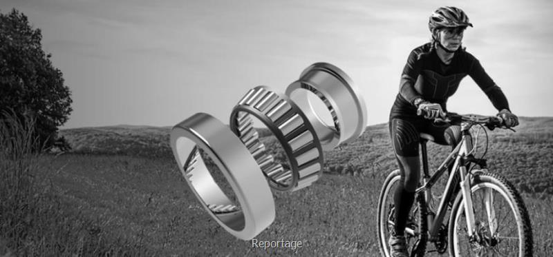 فروش عمده بلبرینگ