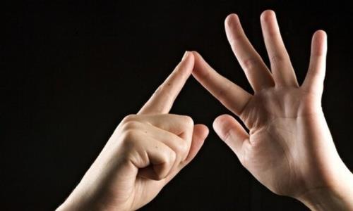در هر اداره ای باید یک یا دو کارمند زبان اشاره بیاموزد