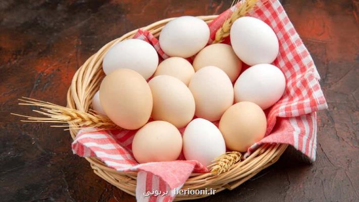 نکاتی که باید هنگام مصرف تخم مرغ رعایت کنیم