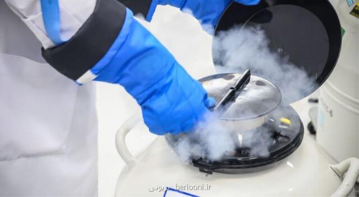 فریز تخمک در دختران از هزینه ها تا یک چالش قانونی