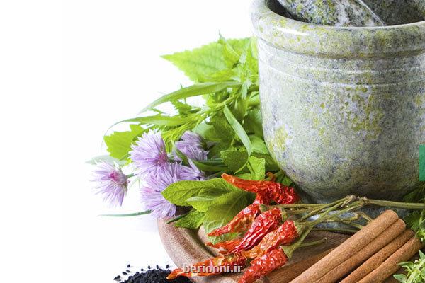 جشنواره غذای ایران جوان با طب ایرانی در وزارت بهداشت