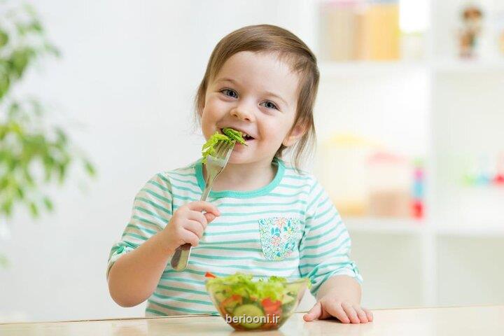 راهکارهای ساده برای مواجهه با بدغذایی کودکان در شروع سال تحصیلی