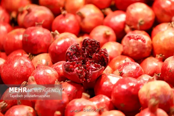 شب یلدا را هوشمندانه بگذرانیم نه پرخوری، نه حذف دورهمی