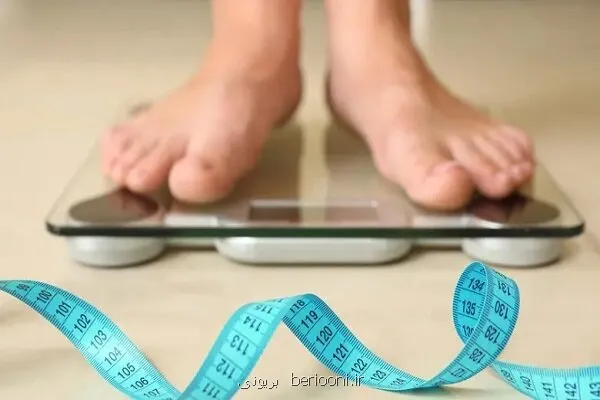 کیفیت رژیم غذایی یا کاهش کالری کدام برای لاغری اهمیت بیشتری دارد