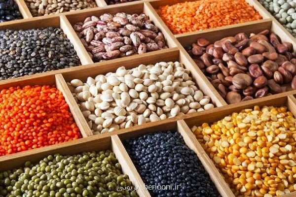 ارتباط مصرف حبوبات با کاهش شیوع بیماریهای قلبی