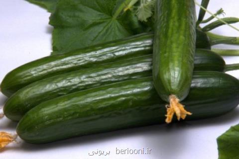 حفظ سلامت استخوان با مصرف خیار