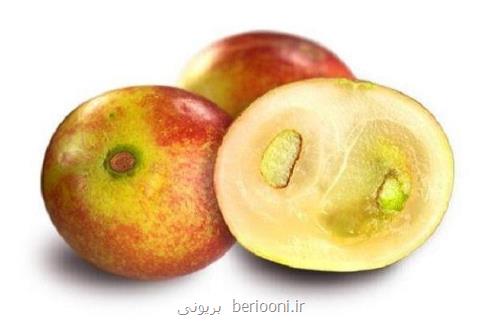 میوه ای كه از چاقی و بیماری های متابولیك پیشگیری می كند