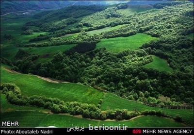 15 پهنه از جنگل های هیركانی ثبت جهانی می شود