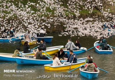 تلاش ژاپن برای ترغیب گردشگران به داشتن بیمه مسافرتی
