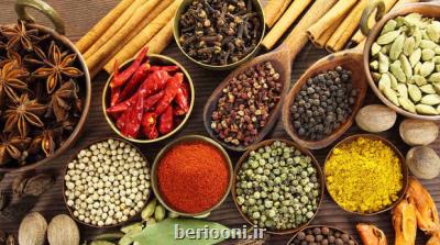 ارتباط رژیم غذایی تند و پرادویه با مبتلا شدن به زوال عقل