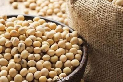 مواد خوراكی ممنوعه برای افراد مبتلا به میزان بالای استروژن