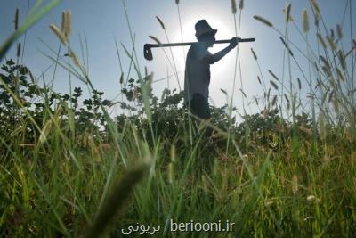 اخطار فائو درباره تأثیرات تغییر اقلیم بر امنیت غذایی