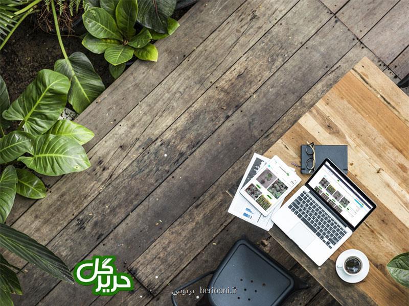 چند ترفند ساده برای خوشگلاسیون منزل شما با گیاهان آپارتمانی
