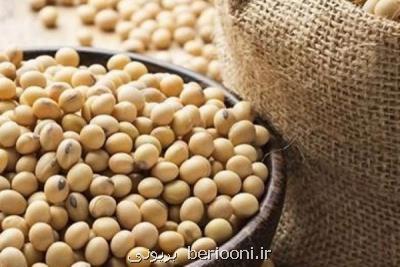 مصرف محصولات سویا باعث افزایش طول عمر می شود