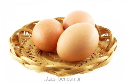 مصرف روزانه تخم مرغ برای سلامت قلب مفیدست