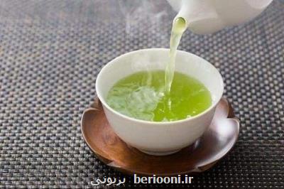تاثیر عصاره چای سبز در مقابله با فیبروز ریوی