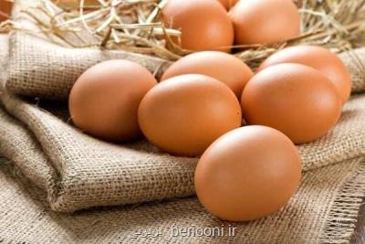مصرف ۳ تا ۶ تخم مرغ در هفته ریسك بیماری قلبی عروقی را می كاهد